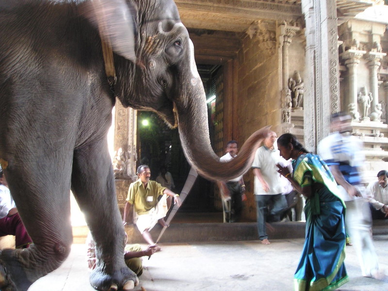 Mystic Journeys, Pondicherry, India
